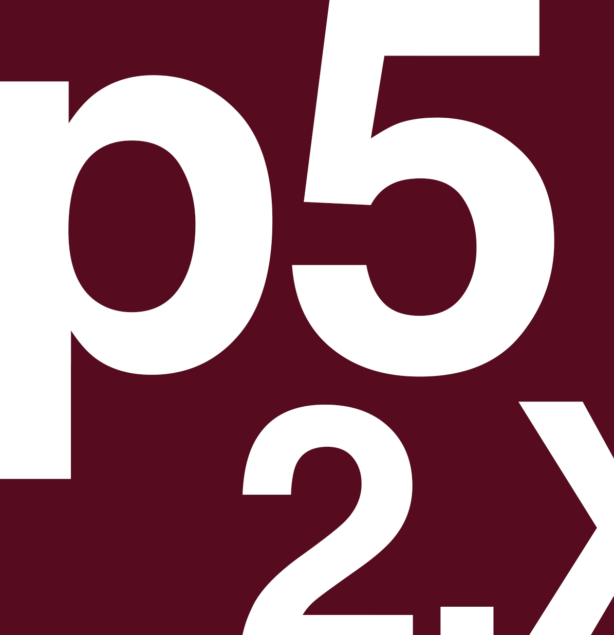 p5.js 2.x Project Generator